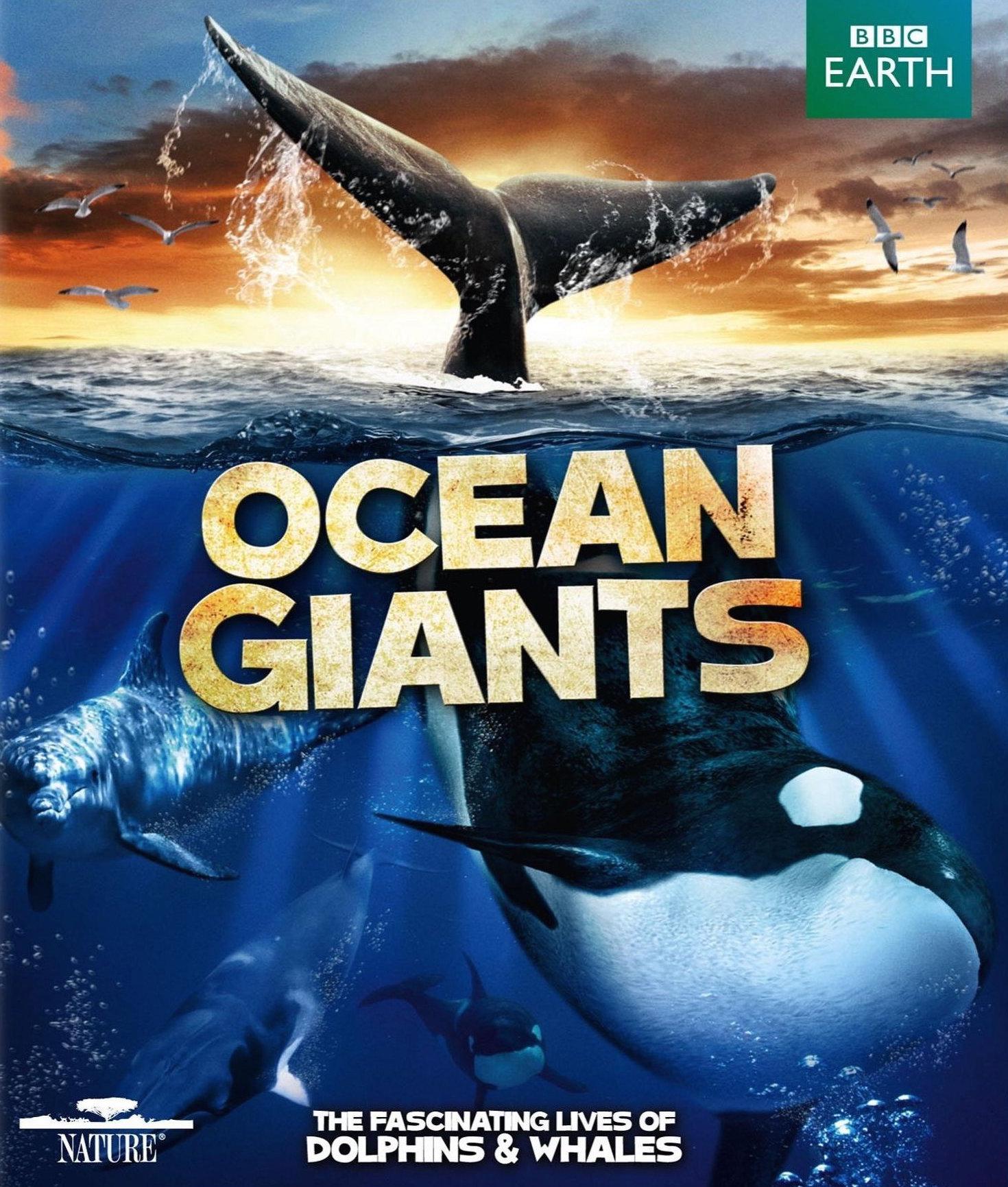 .Ocean.Giants.2011.1080P.ȫ3.Ӣ.У.mp4