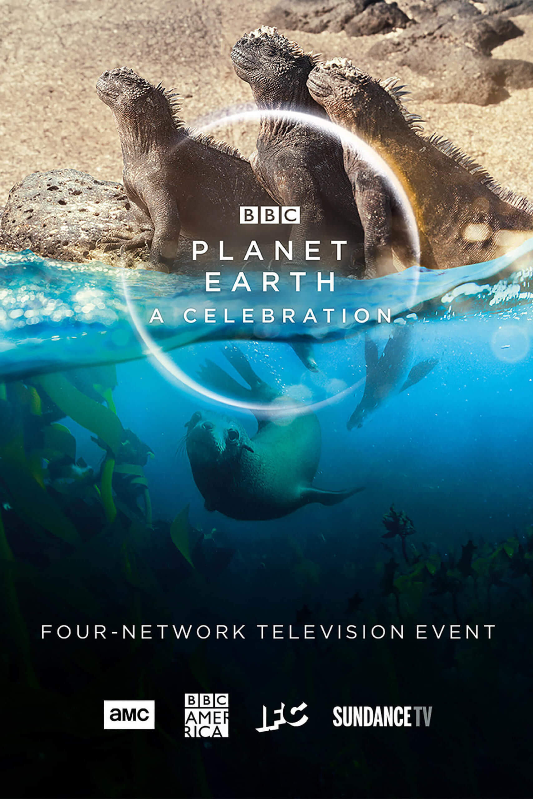 .Planet.Earth.A.Celebration.2020.1080p.iP.WEB-DL.AAC2.0.mp4