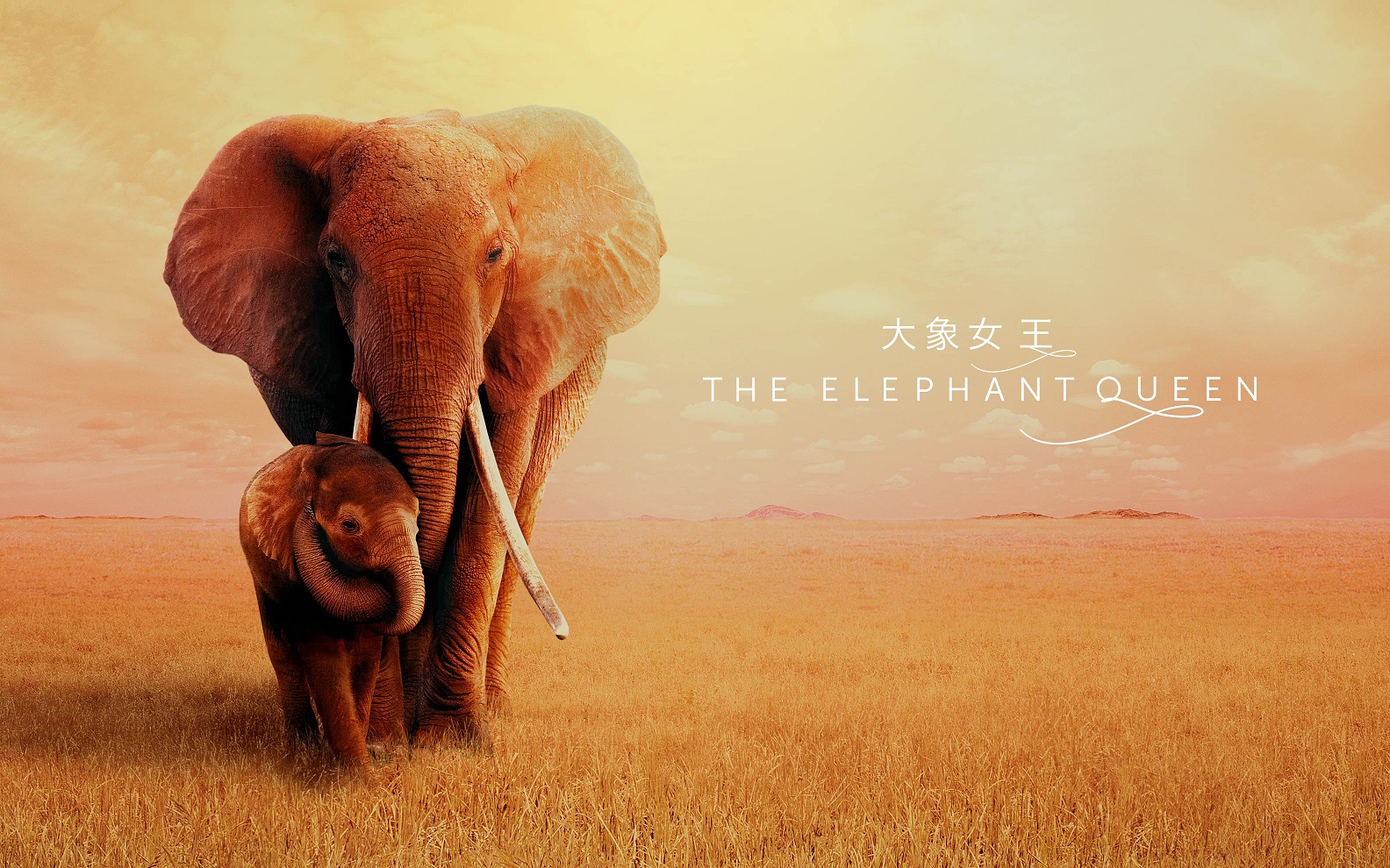 Ů The Elephant Queen.4K.ӢĻ.mkv