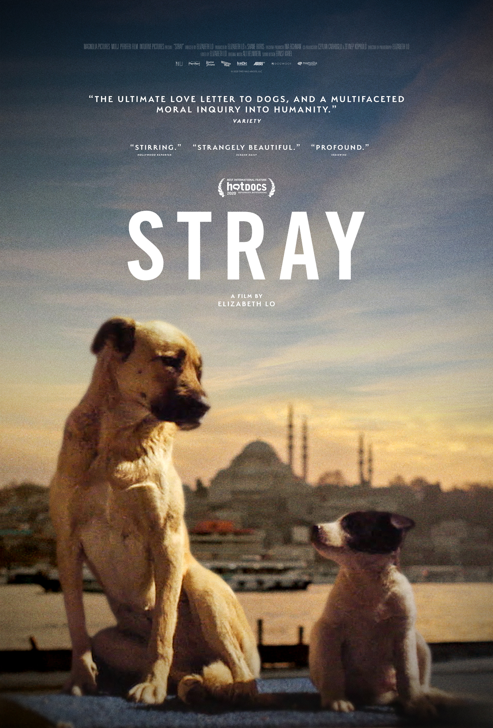 ; Stray (2020).jpg