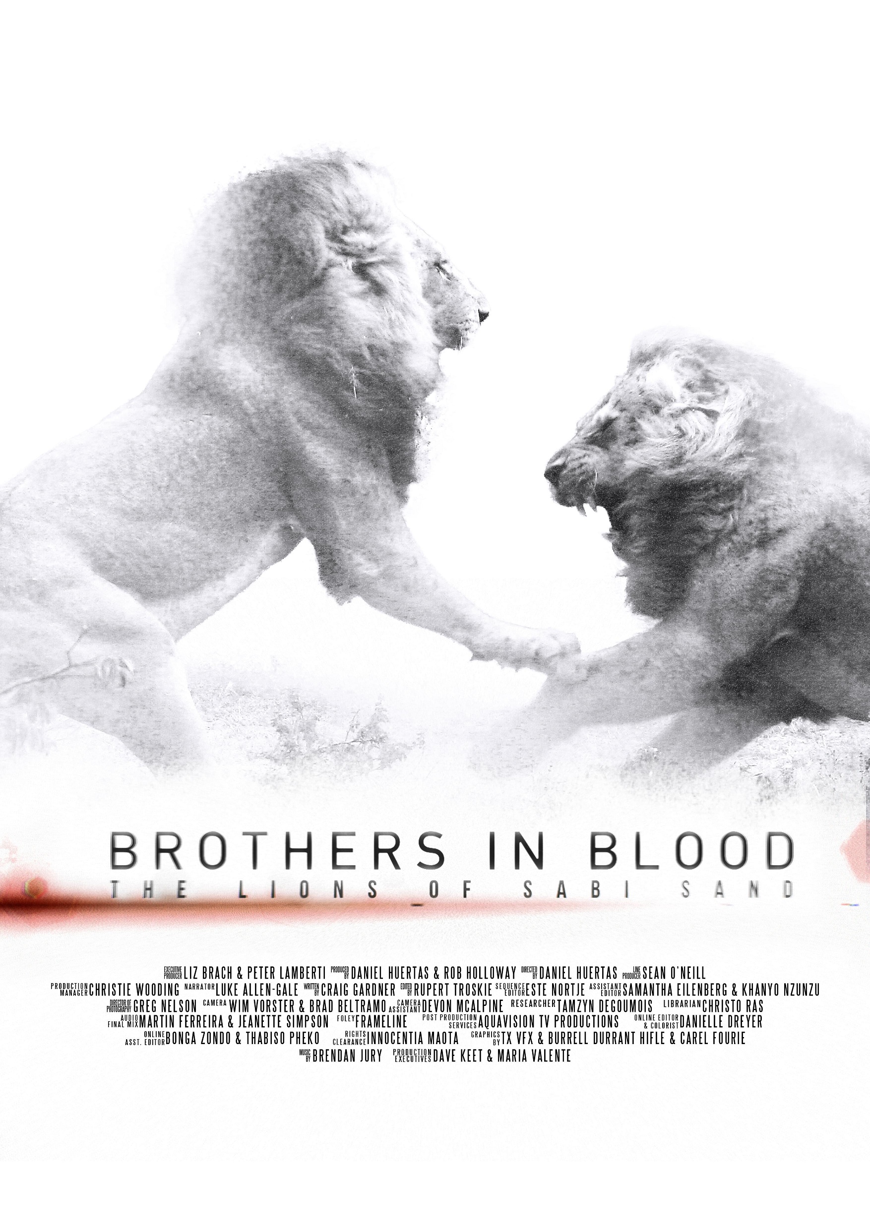 ʨ֮· Brothers in Blood: The Lions of Sabi Sand2015