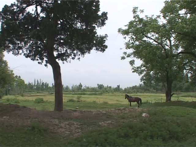 λ Jashn-e-azadi C How We Celebrate Freedom (2007)