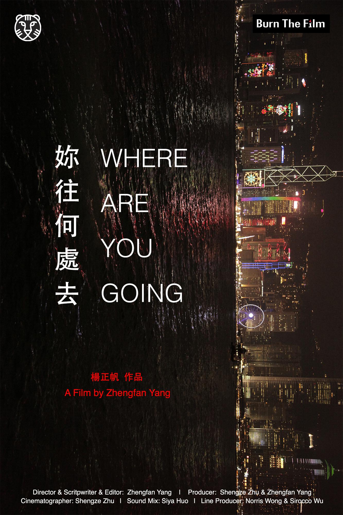 δȥ Where Are You Going (2016)