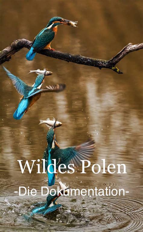 ҰԲ Wildes Polenĺ.jpg