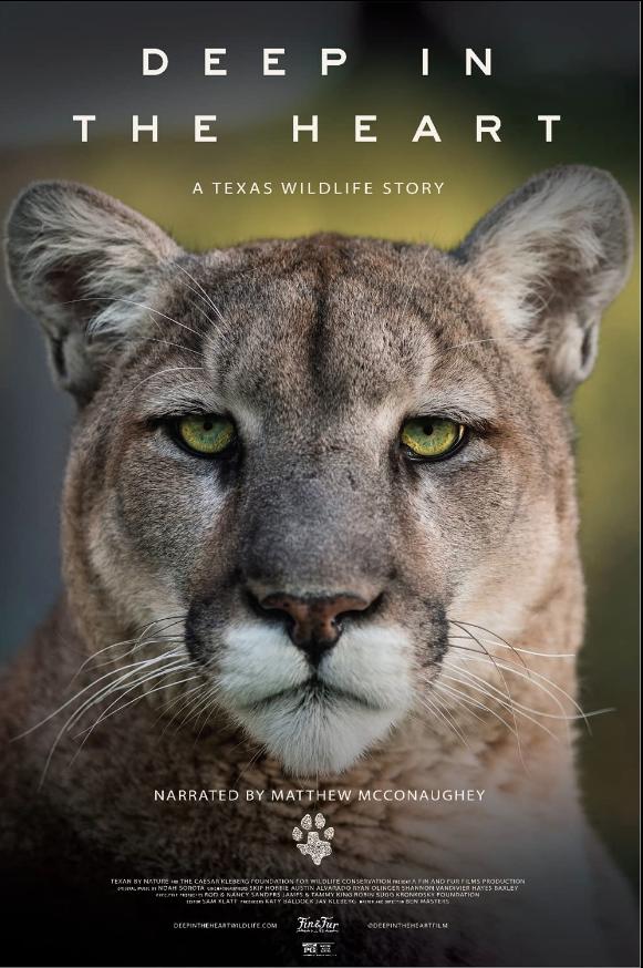 ¿˹ҰĹ.Deep in the Heart: A Texas Wildlife Story (2022)