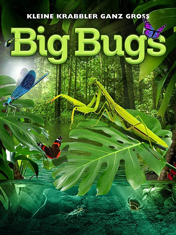 .Big.Bugs.1080i.Ӣ˫. (2012)