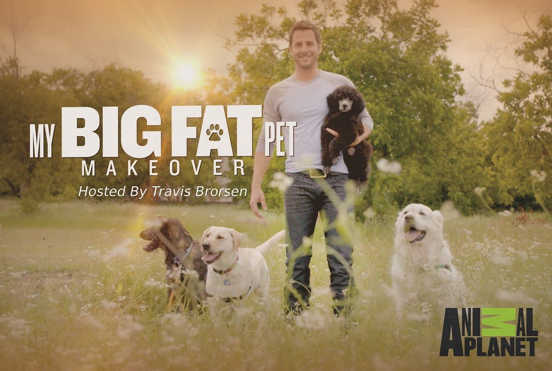 ʳ.My.Big.Fat.Pet.Makeover.ȫ6.4K.ӢĻ (2017)