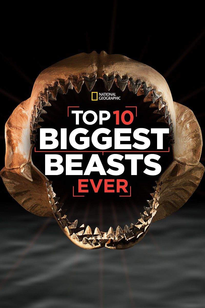 ʮа.Top.10.Biggest.Beasts.Ever.1080P.Ӣ (2015)