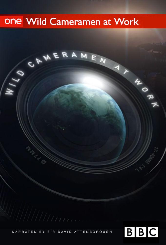 ҰӰʵ¼.Wild.Cameramen.at.Work.ȫ4.720P.ӢĻ (2013)