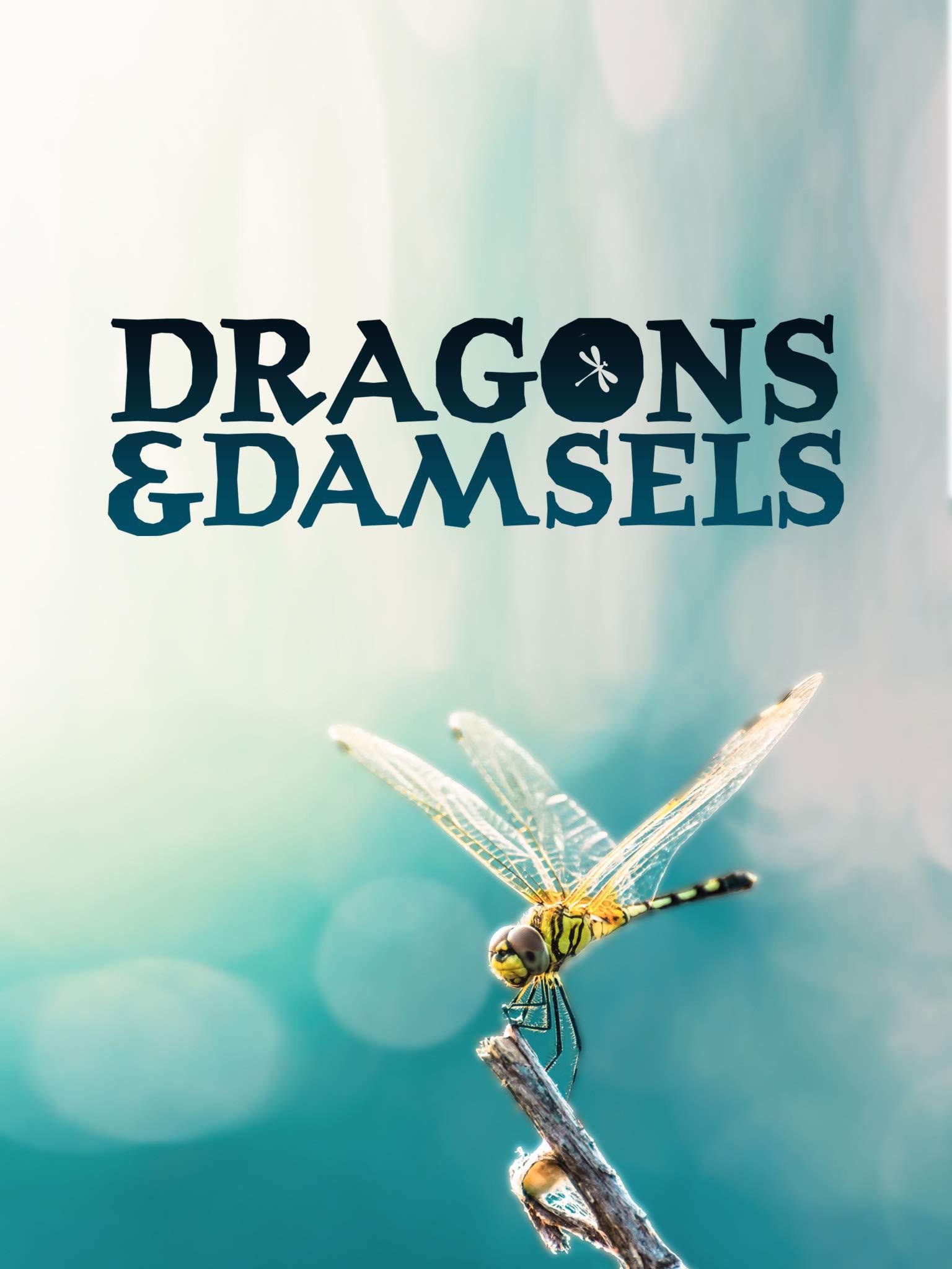 붹.Dragons&Damsels.1080P.Ӣ (2019)