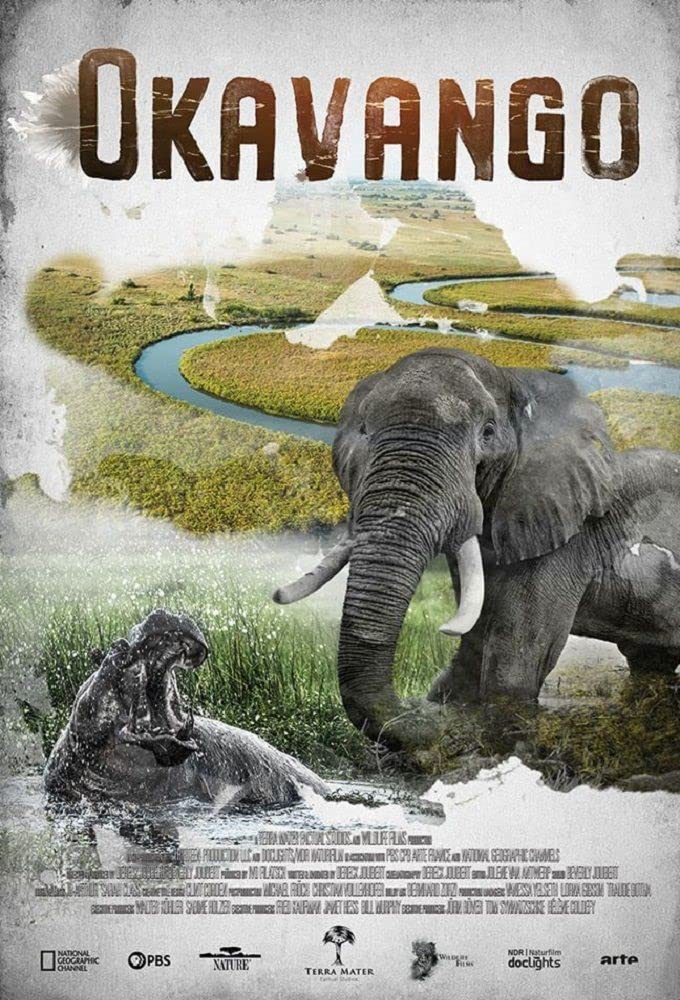 ¿꣺֮.Okavango:River.of.Dreams.1080P.Ӣ (2019)