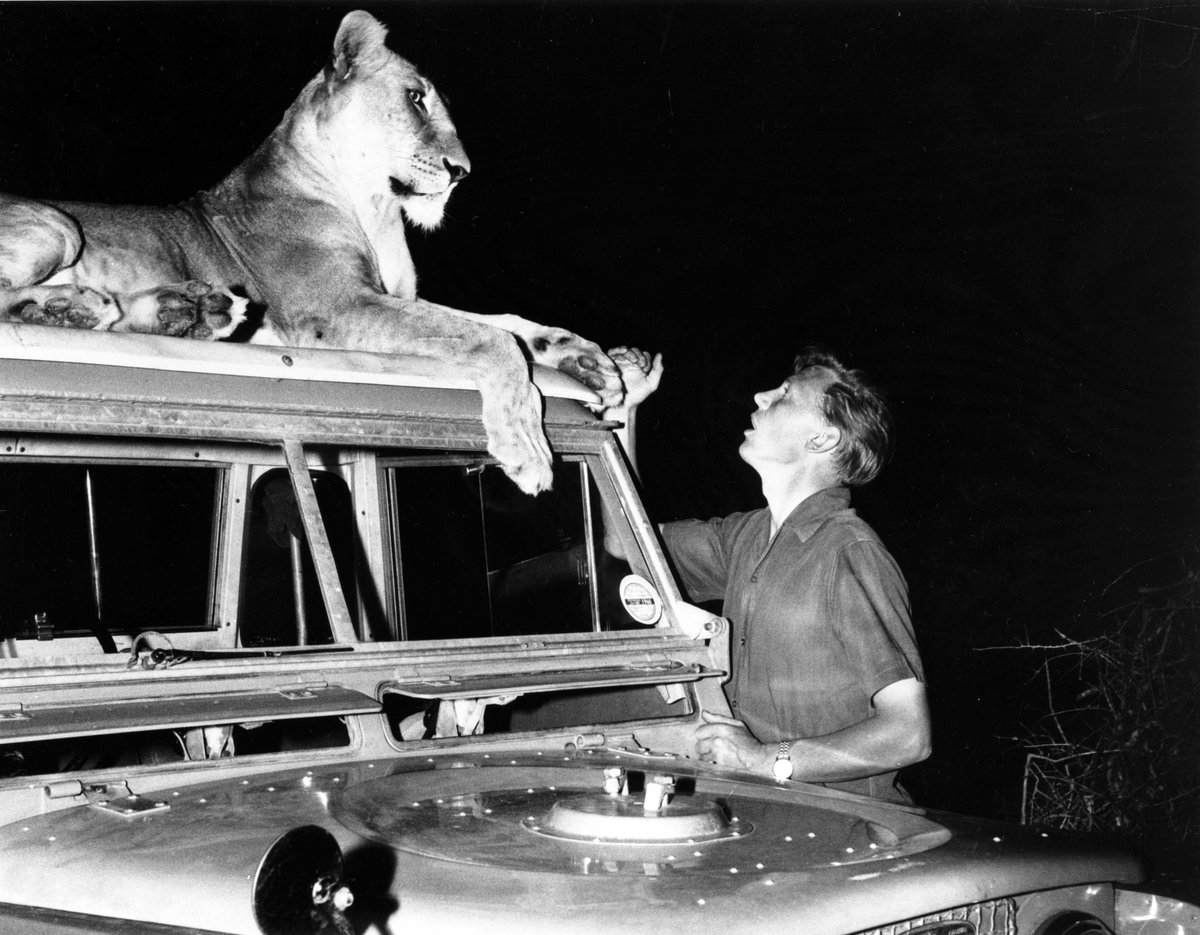 ĸʨɯ.Elsa.the.Lioness.Ӣ.PDTV.x264.AAC (1961)