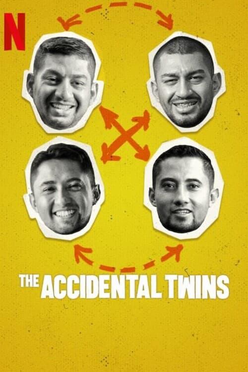 ˫ֵ̥.Ӣ.1080P.The Accidental Twins (2024)