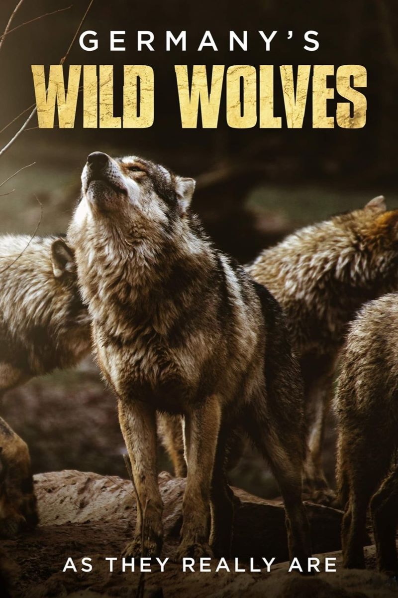 ¹ҰǡʵĿ Germany's Wild Wolves - As They Really Are2019