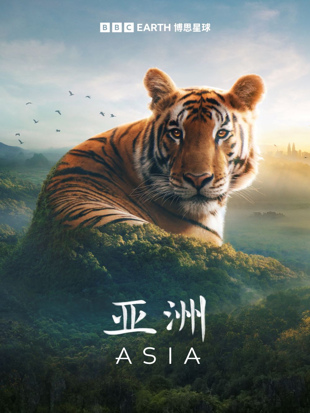 .Asia.ӢĻ.1080P (2024)