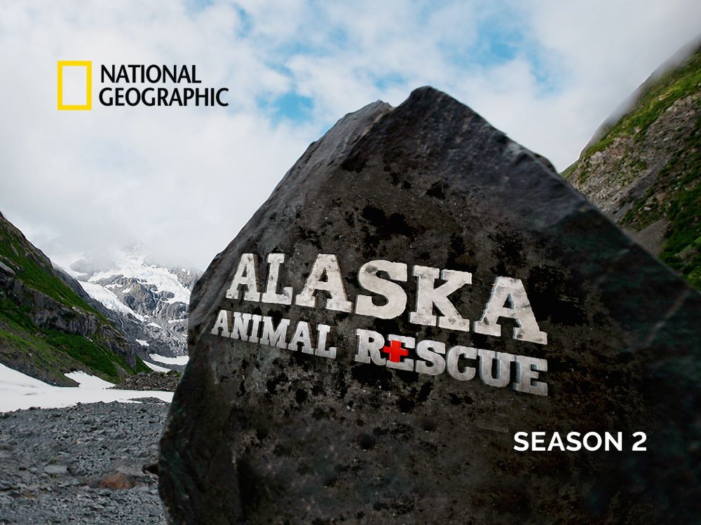 ˹ҰԮ ڶ Alaska Animal Rescue (2021)