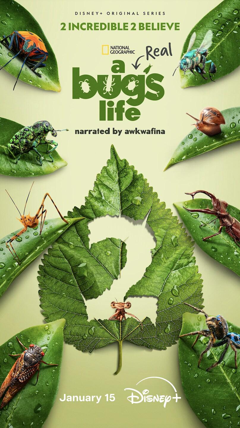 ռ ڶ A Real Bug's Life (2025)