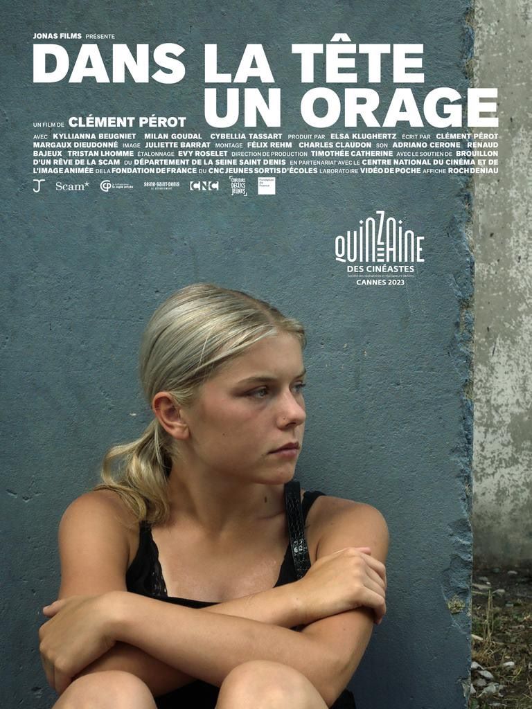 з籩 Dans la tte un orage (2023)