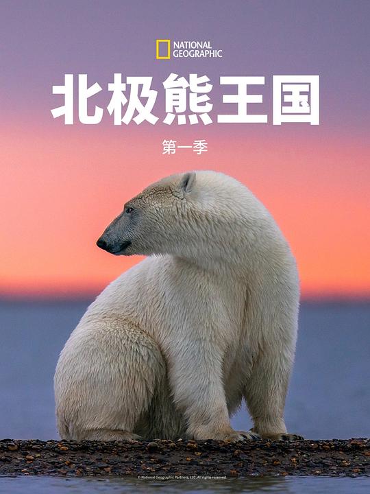 .һ.ȫ2.ӢĻ.4K.Kingdom of the Polar Bears (2021)