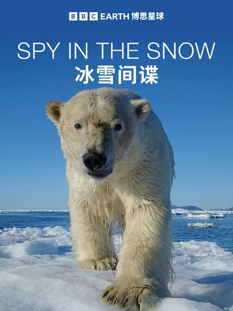 ѩ.ӢĻ.1080P.Spy in the Snow (2018)