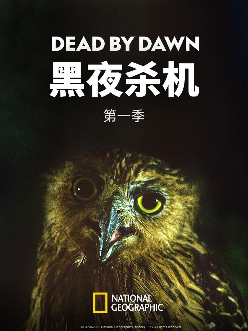 ҹɱ.һ.ӢĻ.4K.Dead by Dawn (2019)