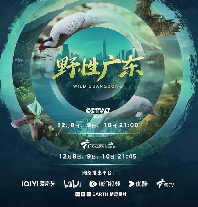 Ұ�Թ㶫 Wild Guangdong (2025)