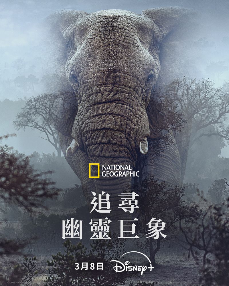 ׷Ѱ������� Ghost Elephants (2025)