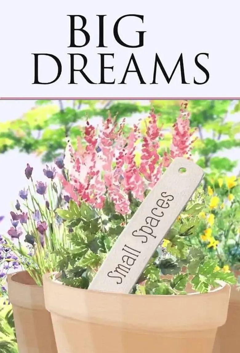 С��԰������ 1-3�� Big Dreams Small Spaces (2014-2017)