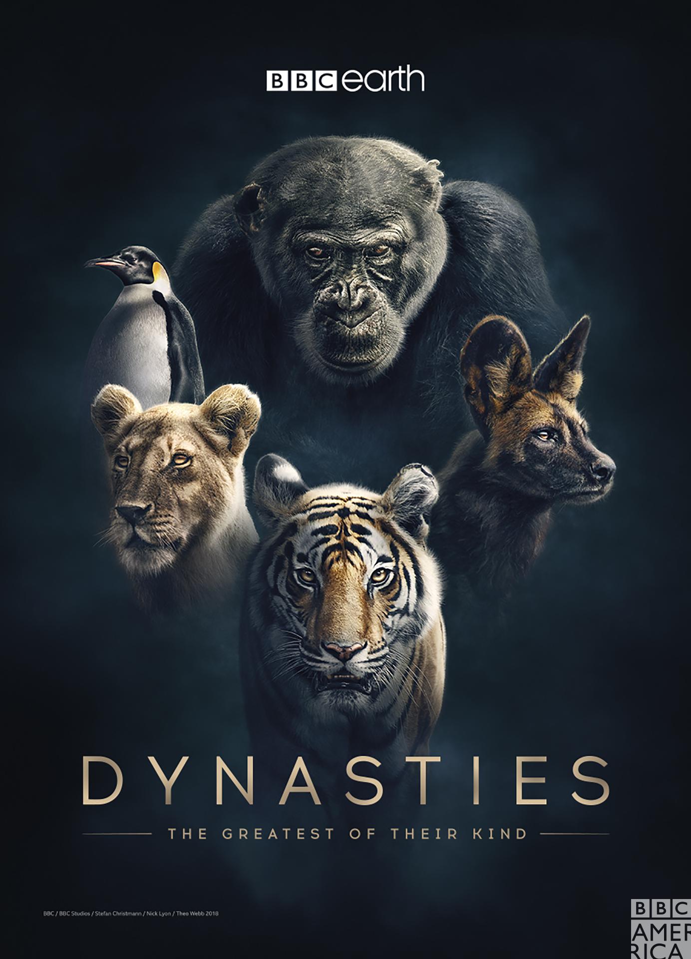 Dynasties