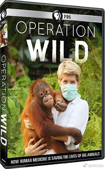 ҰԮ Operation Wild2014